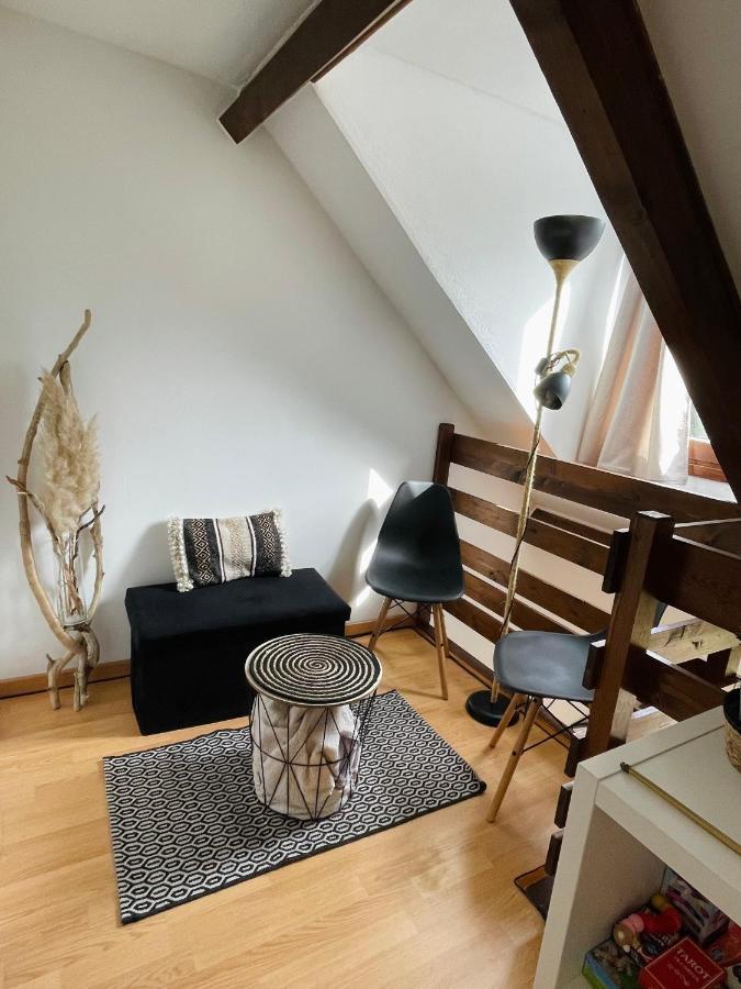 Duplex Du Pailhet, T3 Neuf, Vue Montagne, Parking, Navette Et 2 Velos A Disposition Gratuitement Bagnères-de-Luchon Dış mekan fotoğraf